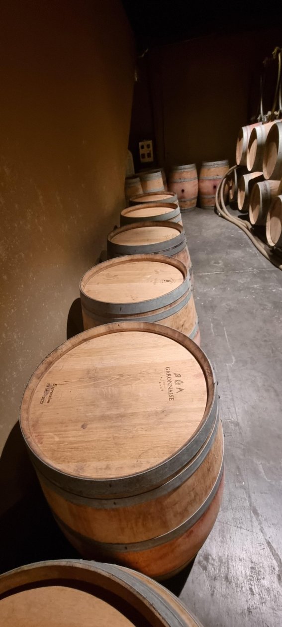 Offre R-Q1V3W5 — 225 Litres Vin Rouge
