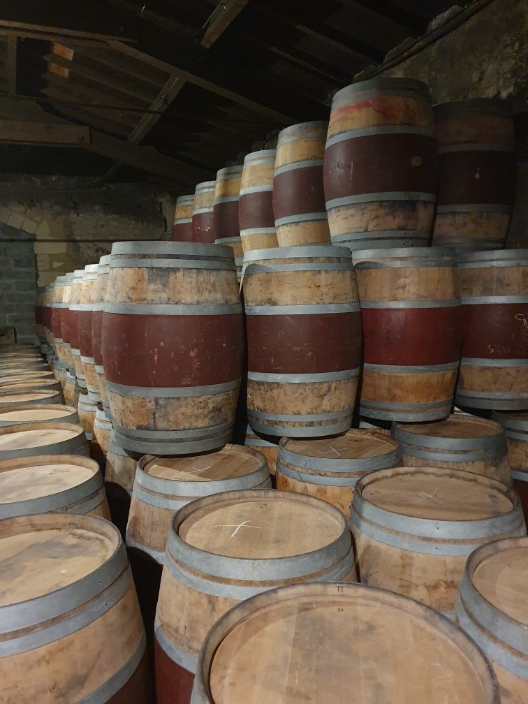 Offre R-7MV5EJ — 225 Litres Vin Rouge