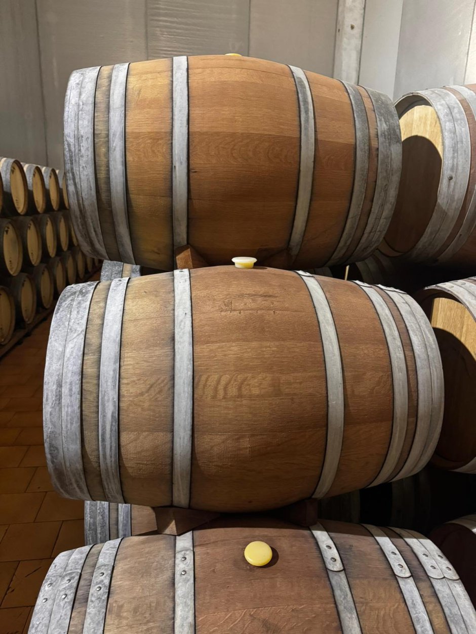 Offre R-BLZM8J — 225 Litres Vin Rouge