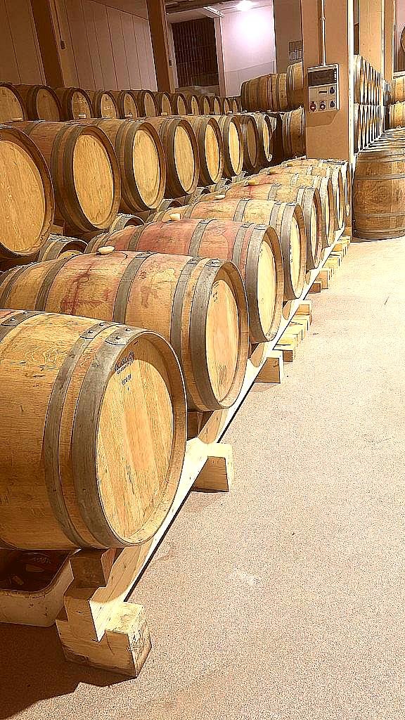 Offre R-H7Q9P7 — 225 Litres Vin Rouge