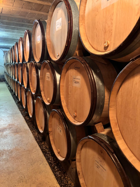 Offre R-J6SKJM — 228 Litres Vin Blanc
