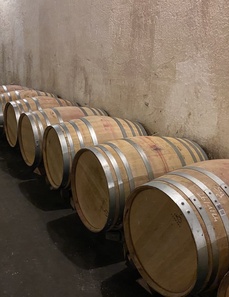 Red Wine,17 oak barrels,Wood origin : ,France Origin