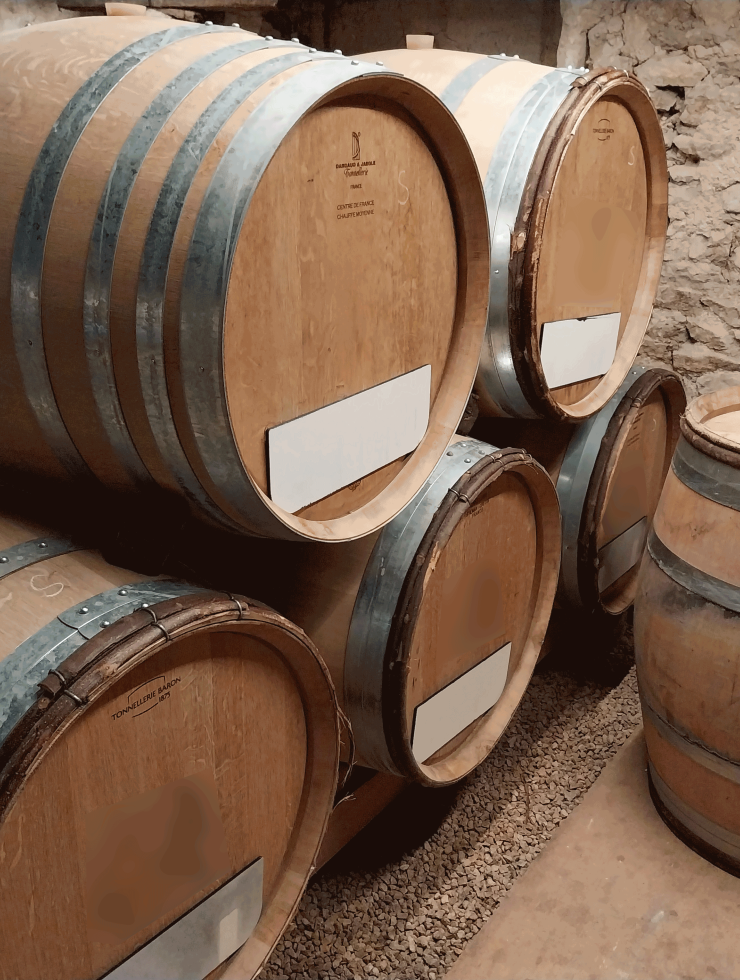 White Wine,7 oak barrels,Wood origin : ,France Origin