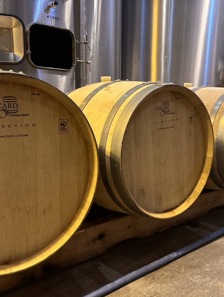White Wine,8 oak barrels,Wood origin : ,France Origin