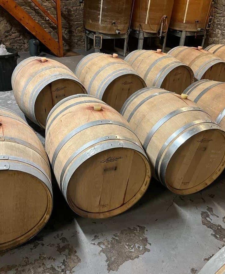 Vin Rouge,26 fûts,Provenance bois : ,France