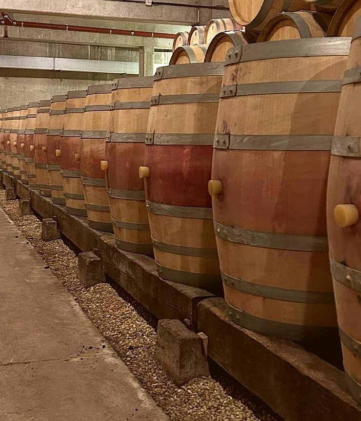 Vin Rouge,30 fûts,Provenance bois : ,Europe