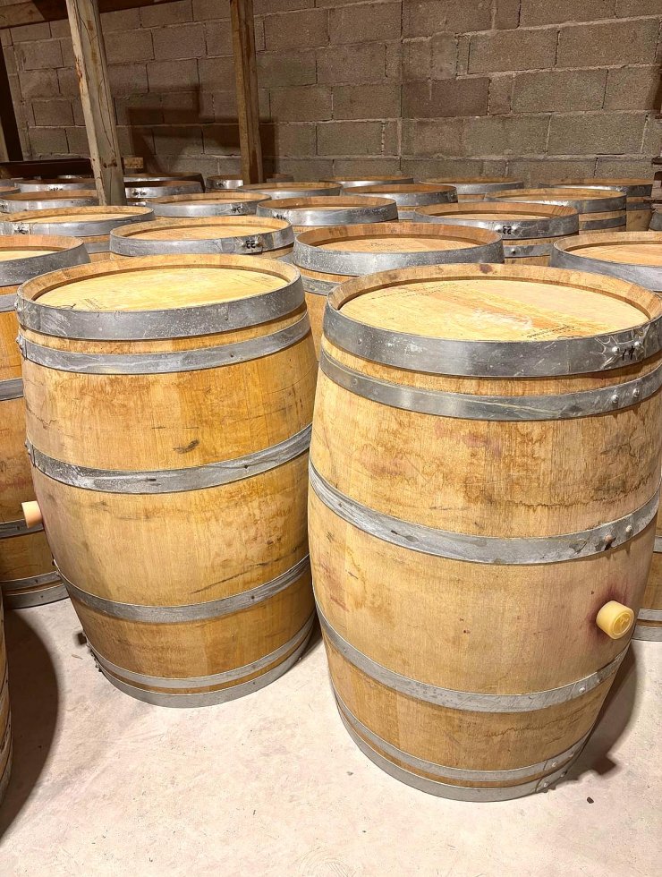 Vino Rosso,60 botti,Origine legno: ,Francia