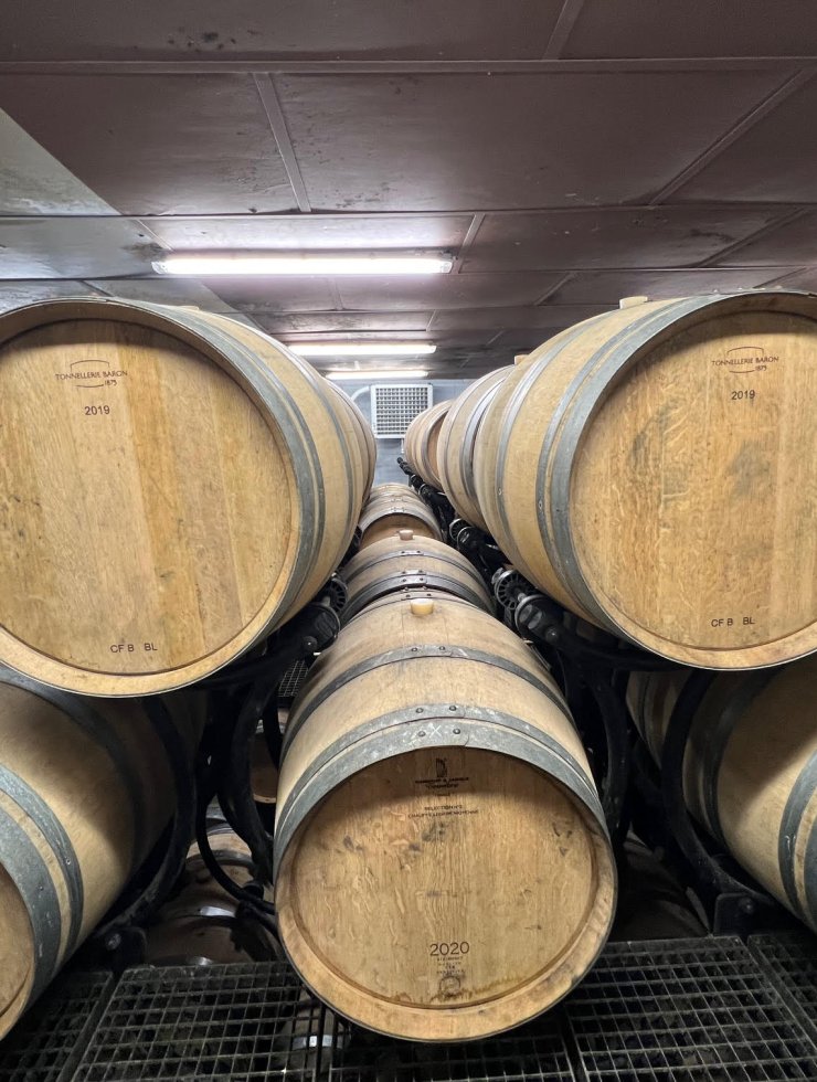 Oxidative Wine,97 oak barrels,Wood origin : ,France Origin