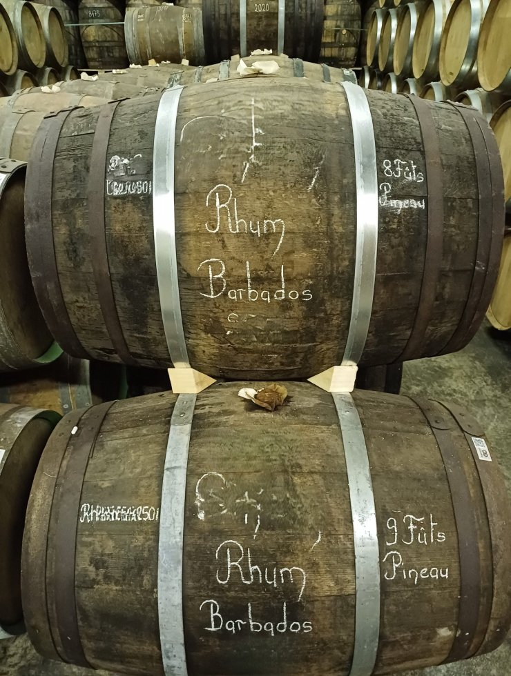 Alcoolici,20 botti,Origine legno: ,Francia