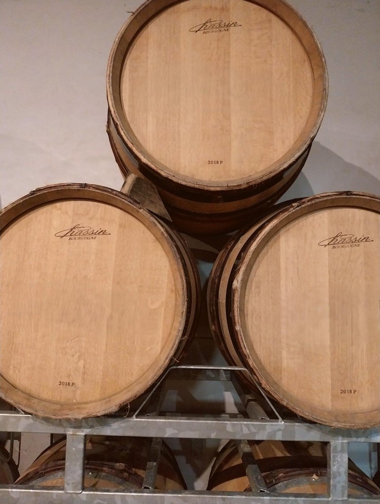 Vin Blanc,58 fûts,Provenance bois : ,France
