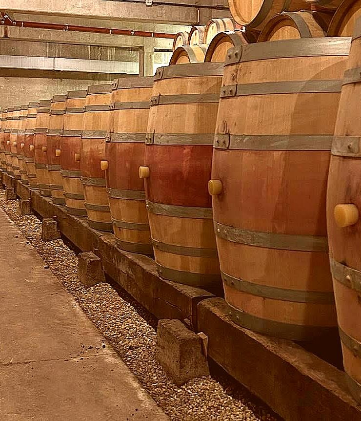 Vin Rouge,100 fûts,Provenance bois : ,France