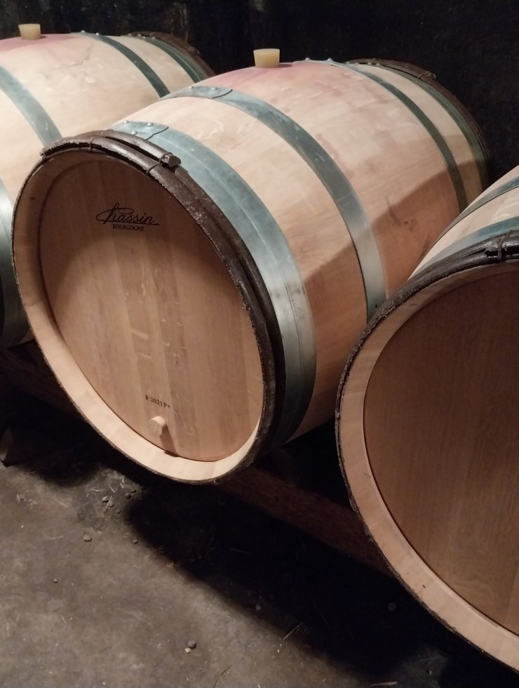 Vino Rosso,9 botti,Origine legno: ,Francia