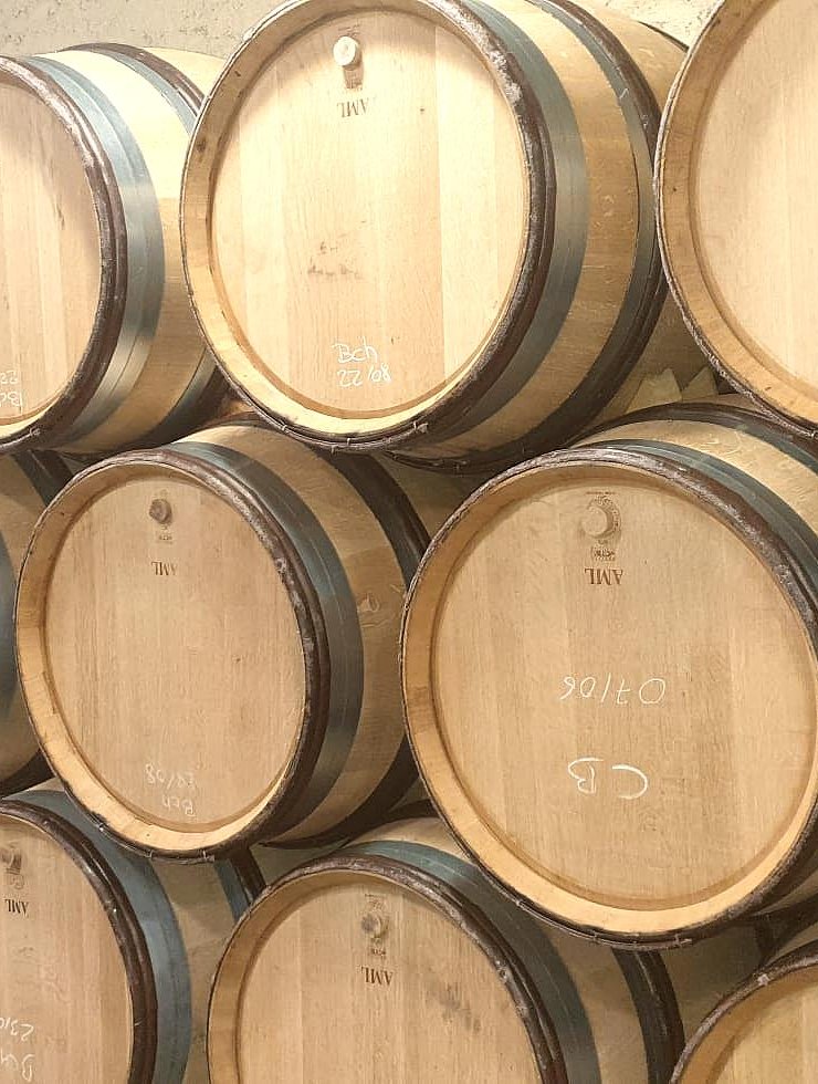 Vino Bianco,15 botti,Origine legno: ,Francia