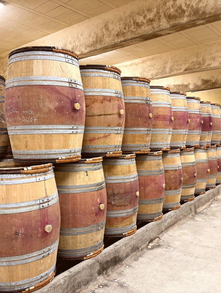 Vin Rouge,200 fûts,Provenance bois : ,France