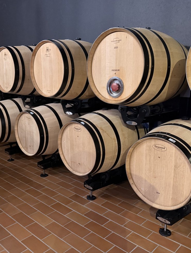 Vin Rouge,10 fûts,Provenance bois : ,France