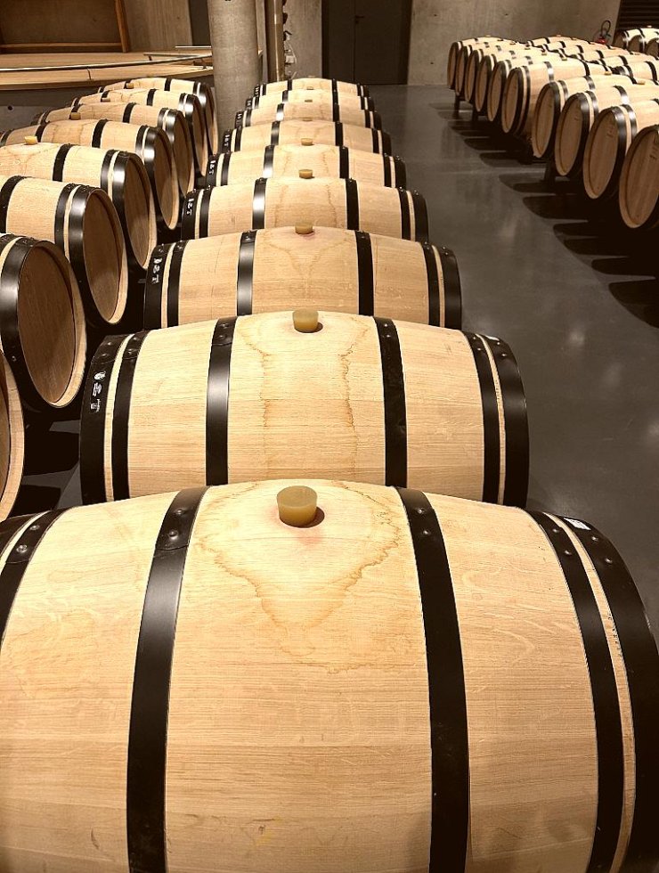 Vino Rosso,20 botti,Origine legno: ,Francia