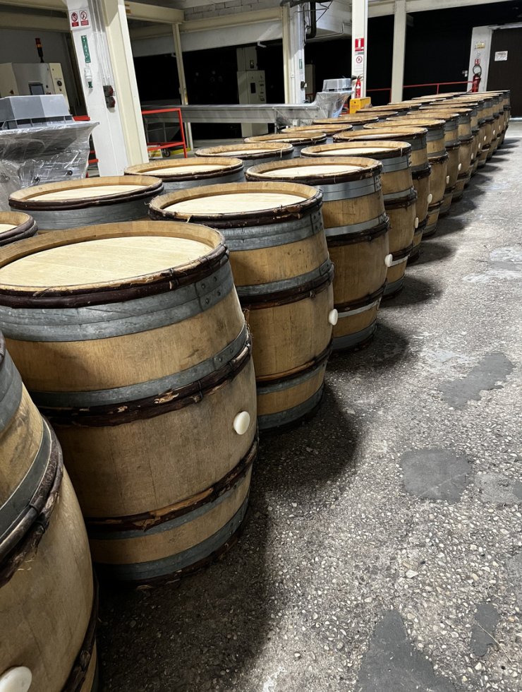 Vino Bianco,30 botti,Origine legno: ,Francia