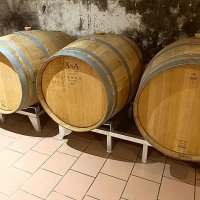 Offre R-GDV4JJ — 225 Litres Vin Rouge