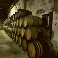 Offre R-T6RD9I — 225 Litres Vin Oxydatif