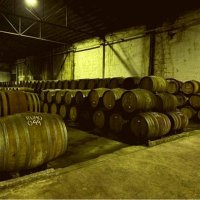 Offre R-T6RD9I — 225 Litres Vin Oxydatif