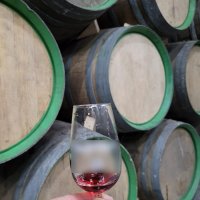 Offre R-KIU9FJ — 225 Litres Vin Oxydatif