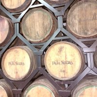 Offre R-BULA6G — 225 Litres Vin Rouge