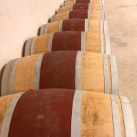 Offre R-LIIDG9 — 225 Litres Vin Rouge