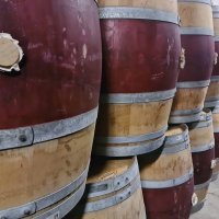 Offre R-QBHRYJ — 225 Litres Vin Rouge