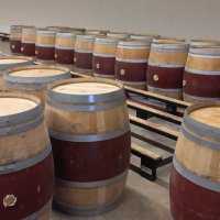 Offre R-FL46DW — 225 Litres Vin Rouge