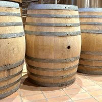 Offre R-Q7FQRT — 350 Litres Vin Blanc