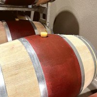 Offre R-Q3WKKG — 225 Litres Vin Rouge
