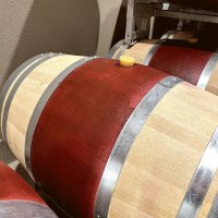 Offre R-Q3WKKG — 225 Litres Vin Rouge