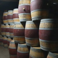Offre R-7MV5EJ — 225 Litres Vin Rouge