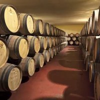 Offre R-M75M1R — 225 Litres Vin Rouge