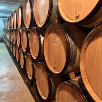 Offre R-J6SKJM — 228 Litres Vin Blanc