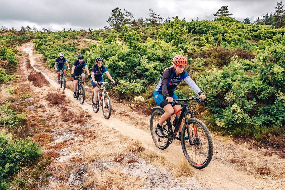 Mountainbikere i Blåbjerg Klit Plantage