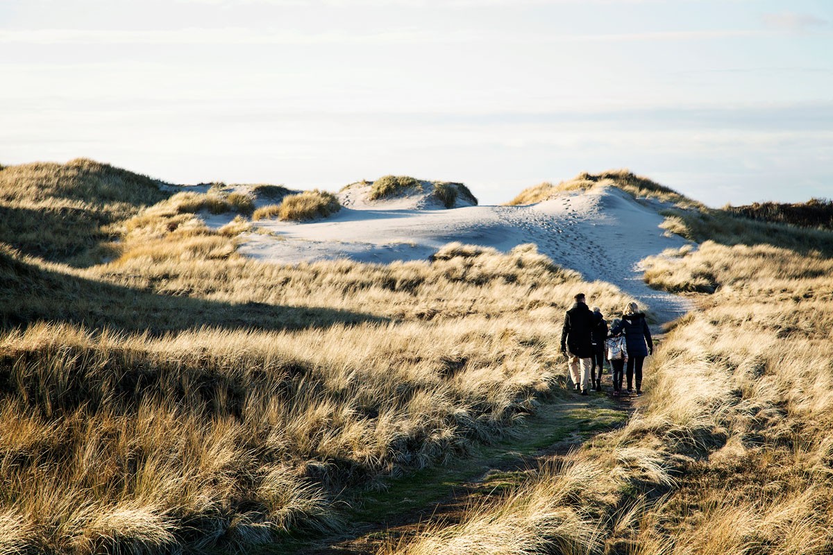 Vandrere ved Hvide Sande