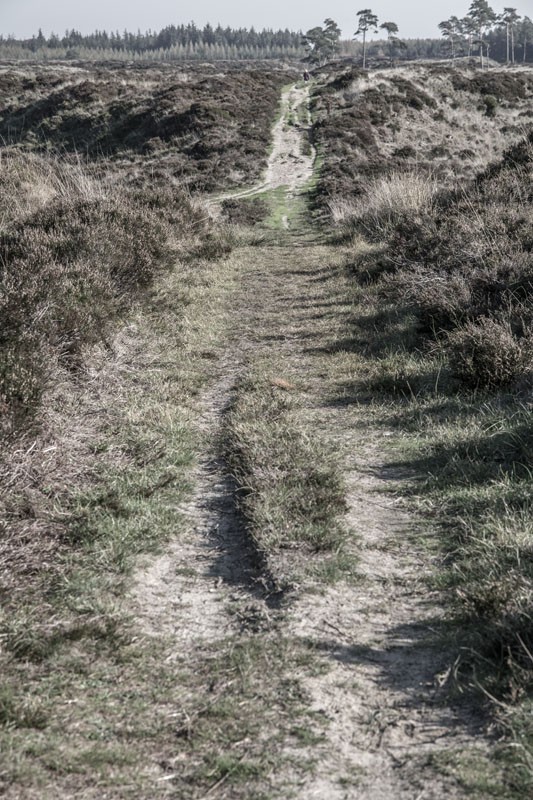 Stursby Plantage