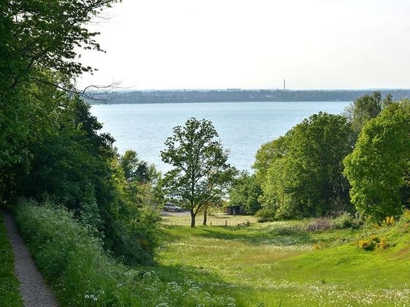 Marsvineruten