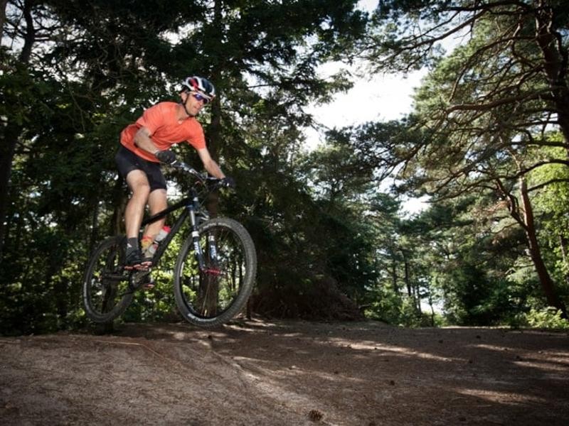 Mountainbike i Store Dyrehave