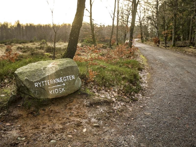 Almindingen Big Loop