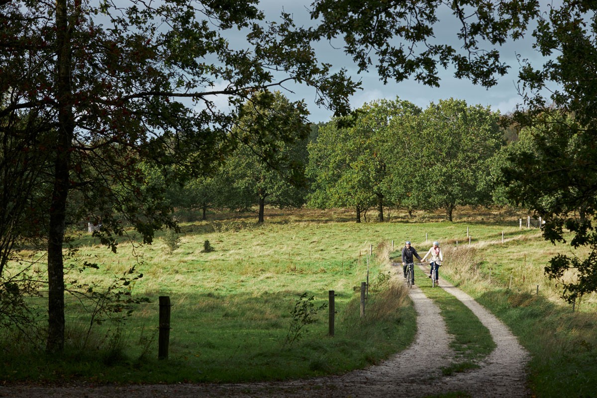 Hærvejsruten