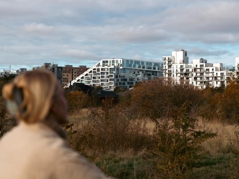 Arkitektur og natur