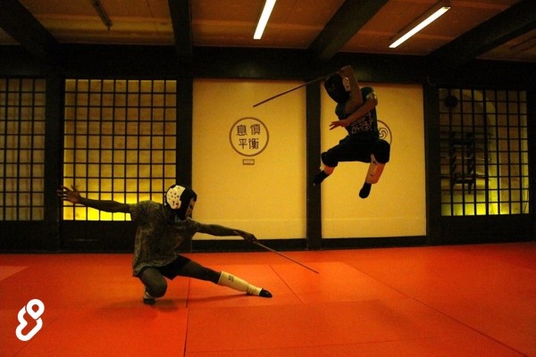 Canne de combat