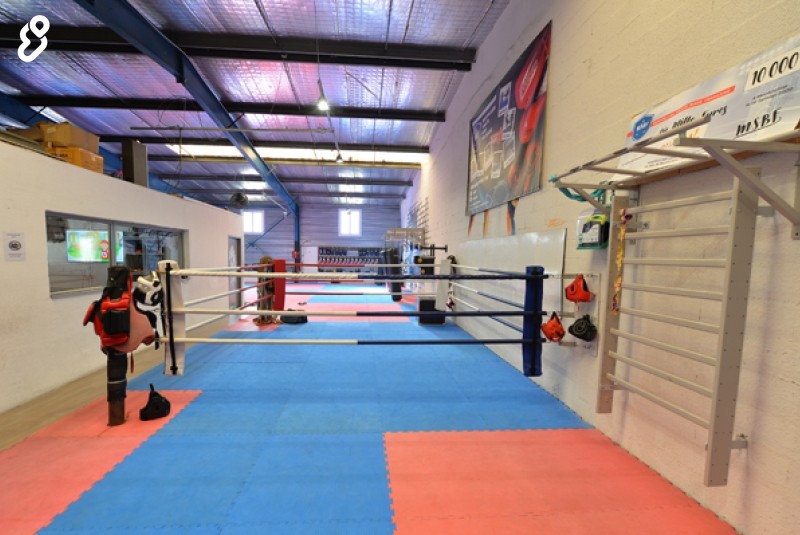 Montpellier Savate Boxe Française