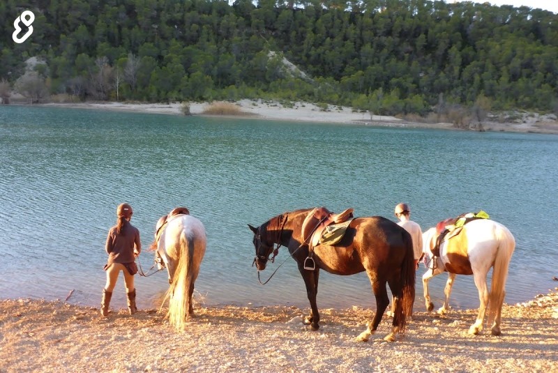 Horse Aventure