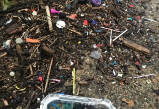Collecte de macro-dechets plastiques dans la laisse de mer à l’embouchure de la Tamise (UK) en aval de Londres / ©Boris Eyheraguibel