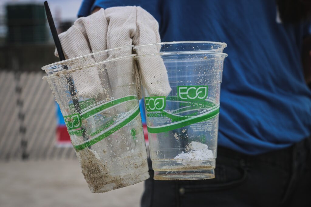 Gobelets en bioplastiques compostables, retrouvés lors d'une campagne de ramassage de déchets sur une plage de New-York (USA)