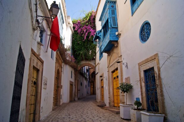 Medina of Tunis - Image d'une ruelle fleurie, entourée de maisons à étages et qui se touchent. Les maisons sont blanches, et leurs portes et fenêtres sont colorées en bleu ou en jaune. L’atmosphère est chaude.