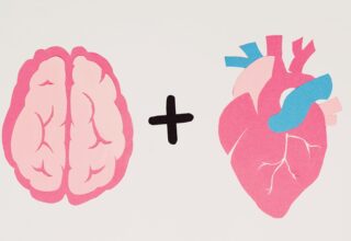 Quand le cerveau tombe amoureux